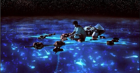 LOP-068 Pi Patel takes in the bioluminescent wonders of the sea.